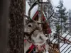 Wunschliste für Weihnachten Wunschliste für Weihnachten