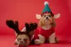 Wunschliste für Weihnachten Wunschliste für Weihnachten